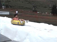 �^�Ă̐�\���V��