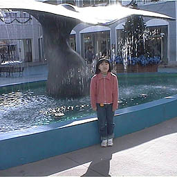 ������(������)�̕���