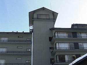 �z�e������