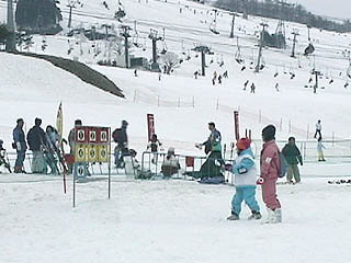 ���т����Q�����f(�L��)