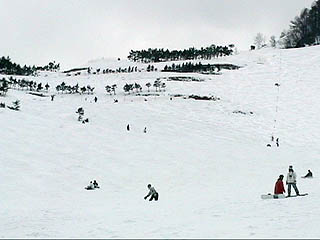 ���˂��˃R�[�X