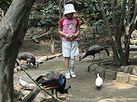 �W�܂�N�W���N