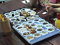 �؂̎��N���t�g