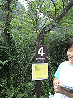 �E�H�[�N�����[