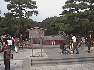 �߉������{