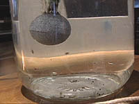 �E�~�z�^������