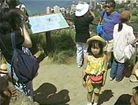 �_�C�������h�w�b�h2