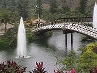 ����A���y��