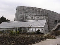 ���c���t�����[�K�[�f��