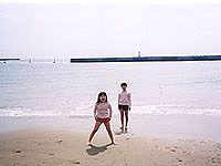 �M�C�̊C��