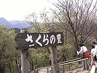 ������̗�